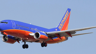 Planes Will Start Running on Biofuels From Fallen Trees in Two Years